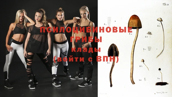 мдпв Богородск