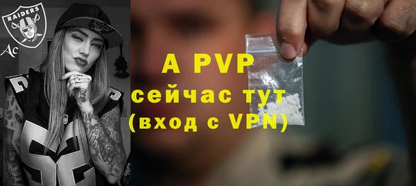 спиды Богородицк