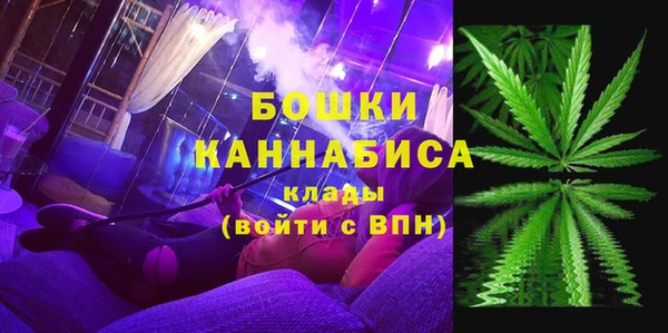 мдпв Богородск