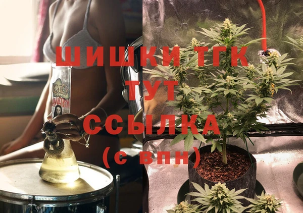 спиды Богородицк