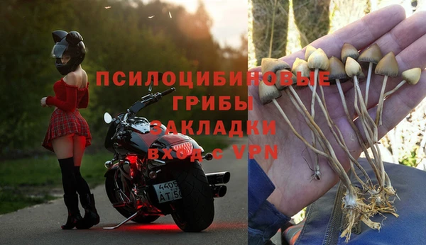 мдпв Богородск