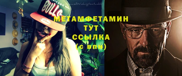 шишки Верхний Тагил
