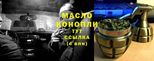 мдпв Богородск