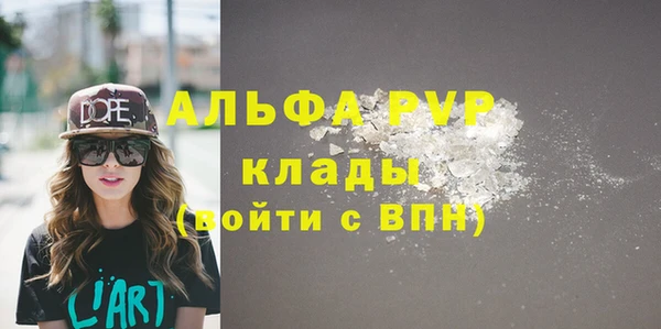 спиды Богородицк