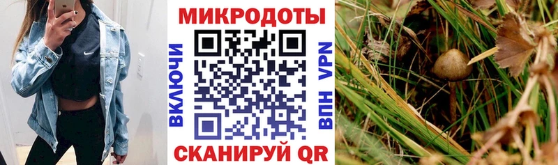 Галлюциногенные грибы Magic Shrooms  дарк нет телеграм  Карабаш 